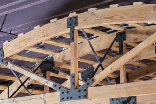 کاربرد لچکی