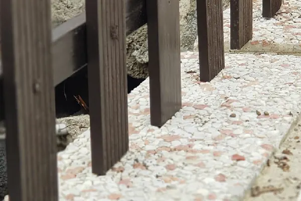 ساخت حصار چوبی برای باغچه